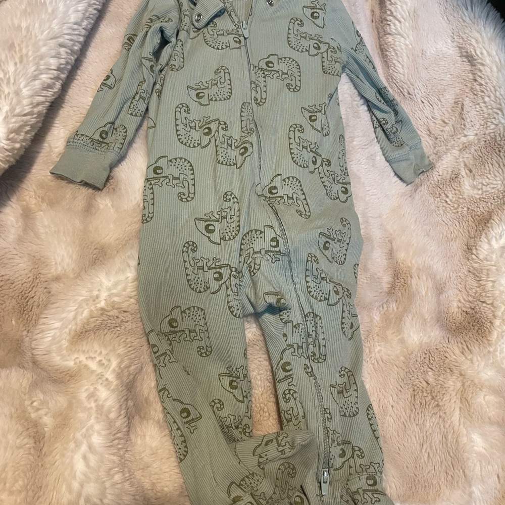 Carter's Sage Green One Piece with Animal Design